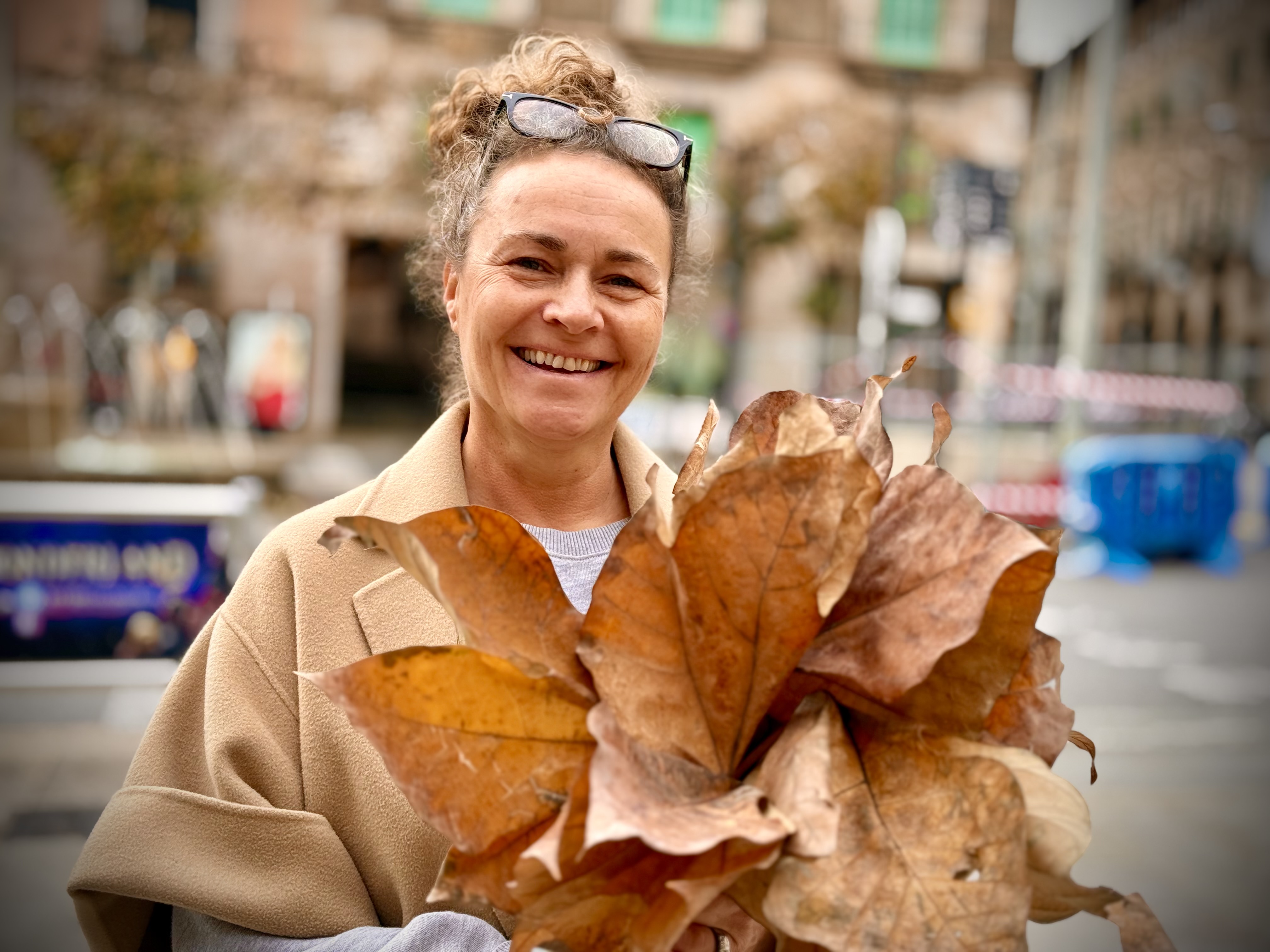 What the Plane Trees Leave Behind